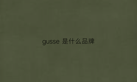 gusse是什么品牌(gus是什么牌子)